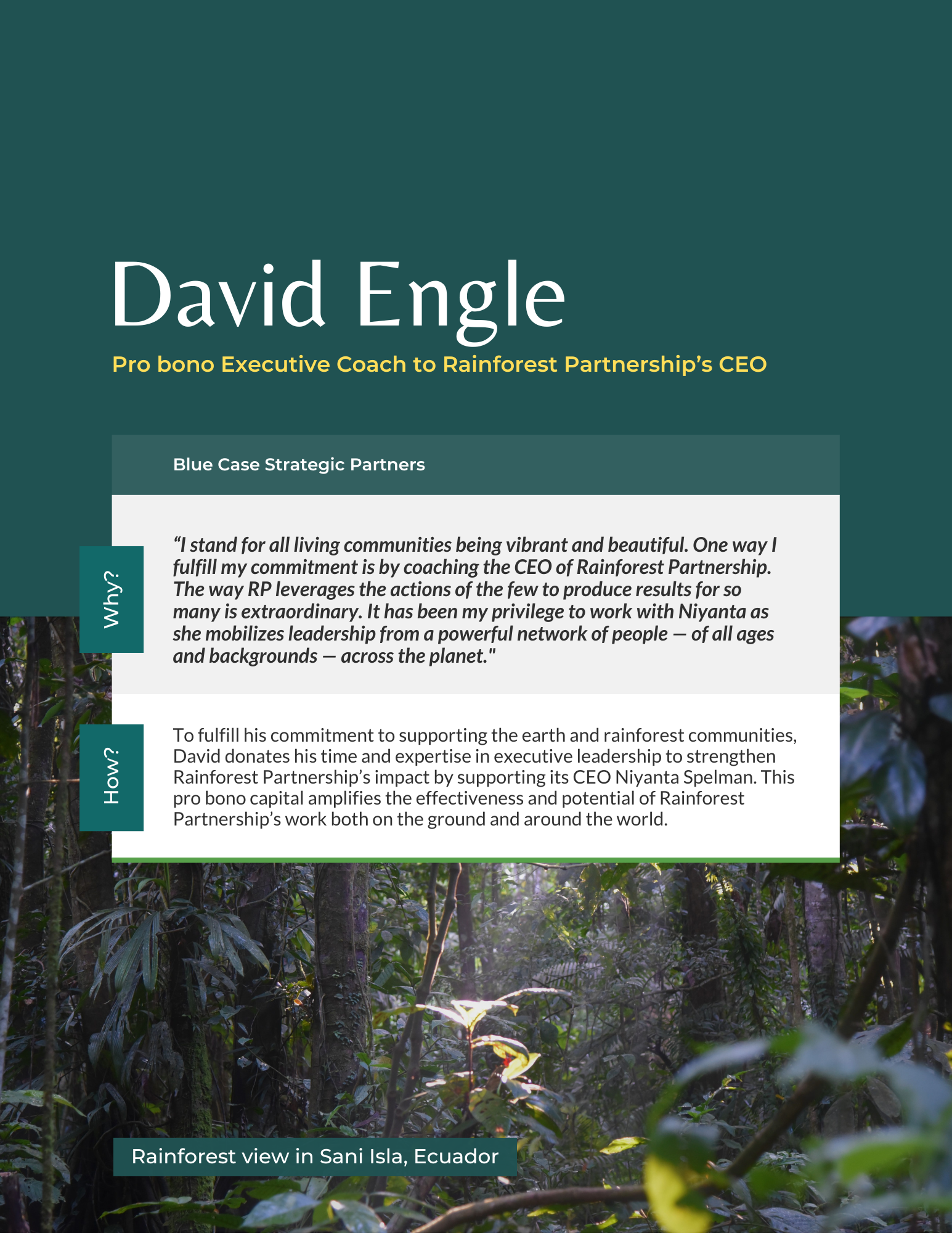 lowercase "kim chua"